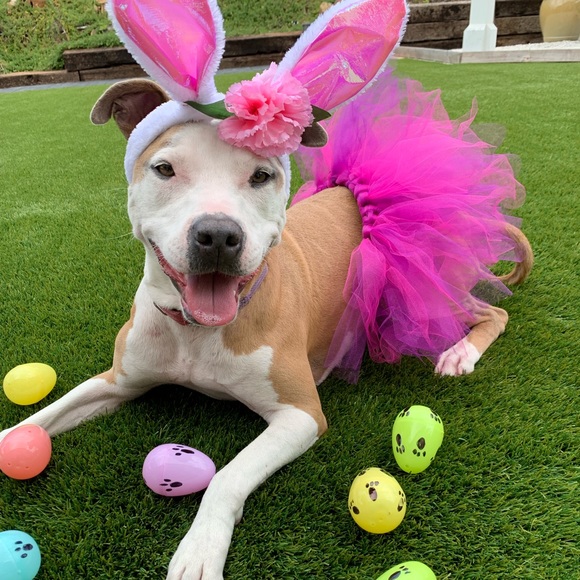 Meet your Posher, Tegan - Picture 7 of 13